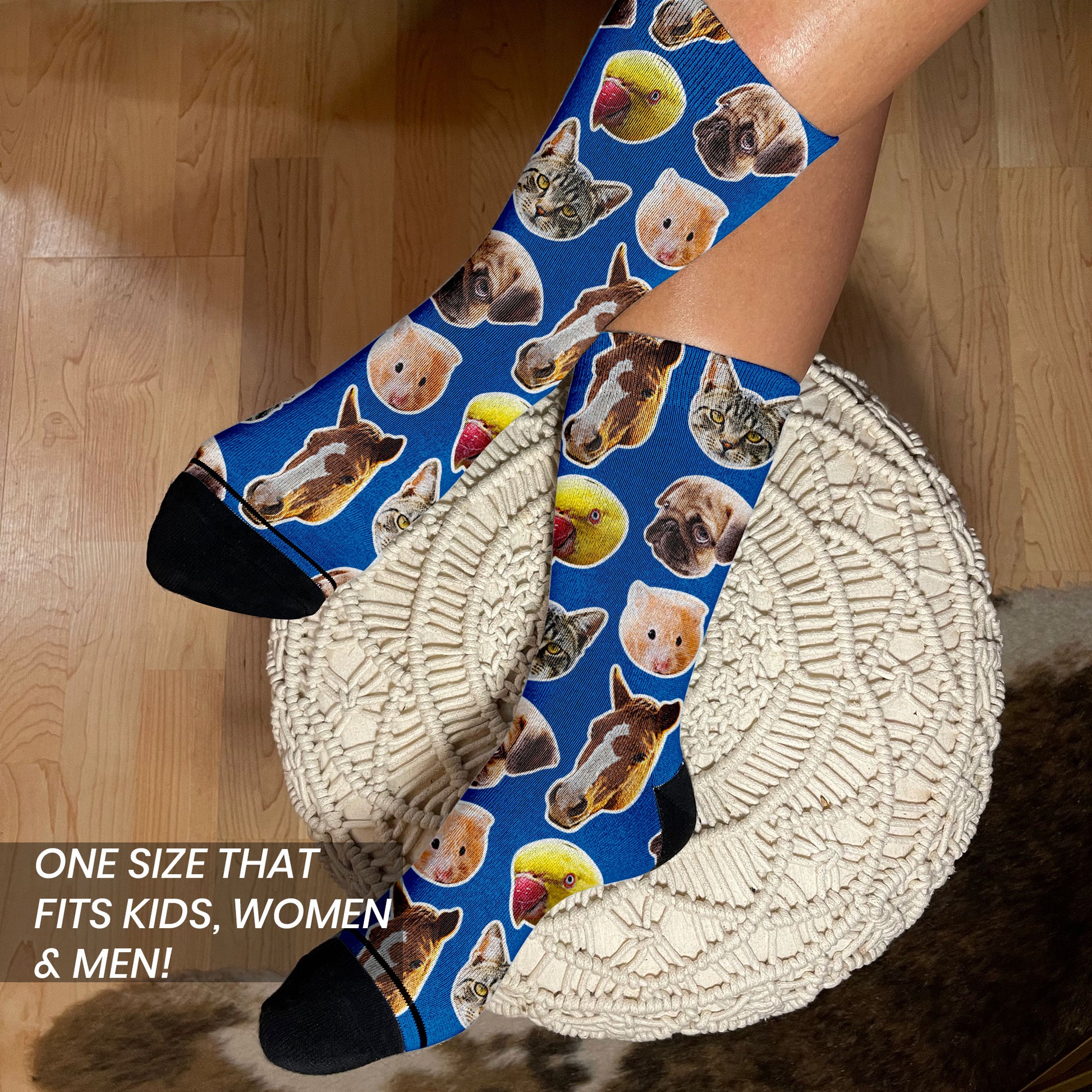 photo socks of pets